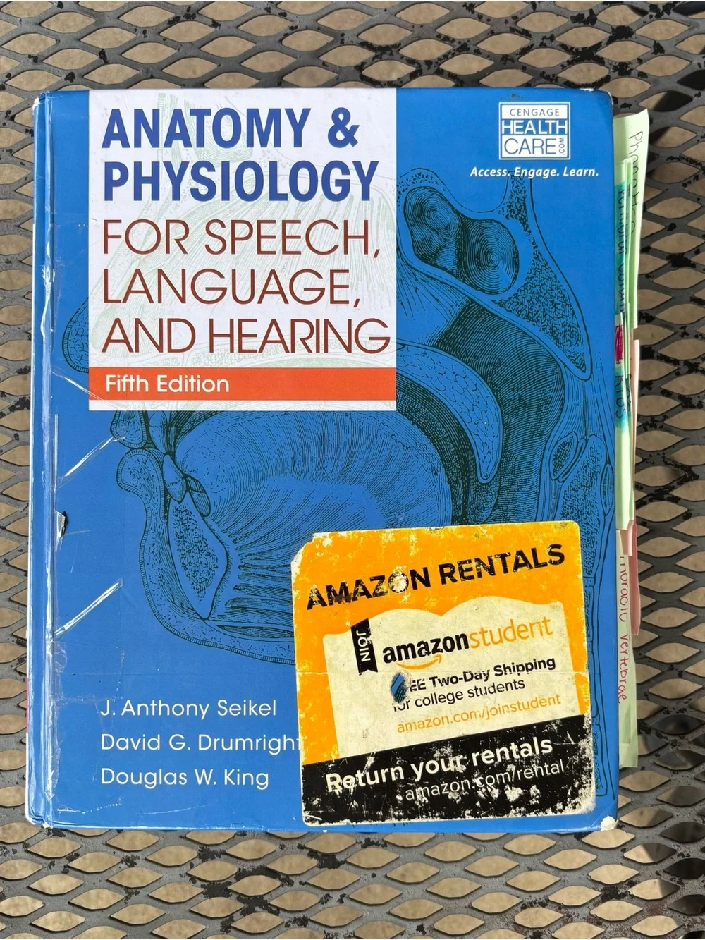 Anatomy and physiology for speech language pathology book